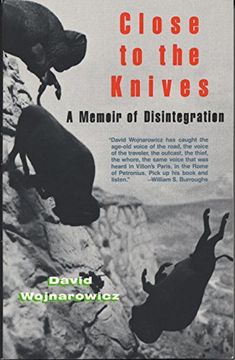 portada Close to the Knives: A Memoir of Disintegration (en Inglés)