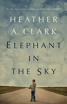 portada Elephant in the Sky (en Inglés)
