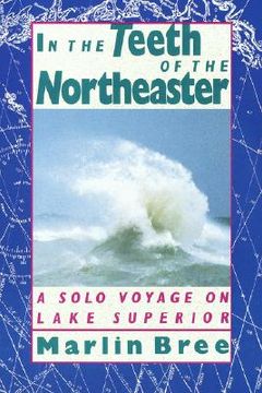 portada in the teeth of the northeaster: a solo voyage on lake superior (en Inglés)