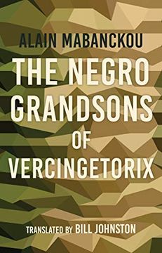 portada The Negro Grandsons of Vercingetorix (Global African Voices) (in English)