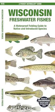 portada Wisconsin Freshwater Fishes: A Waterproof Folding Guide to Native and Introduced Species (a Pocket Naturalist Guide)