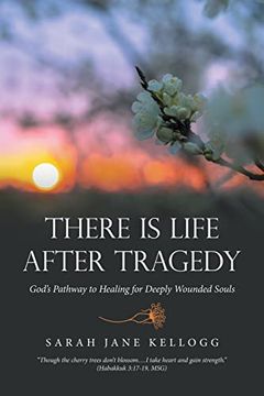 portada There is Life After Tragedy: God’S Pathway to Healing for Deeply Wounded Souls (in English)