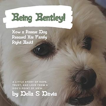 portada Being Bentley! How a Rescue dog Rescued his Family Right Back! A Little Story of Hope, Trust, and Love From a Dog'S Point of View. (en Inglés)