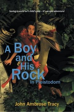 portada A Boy and His Rock
