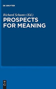 portada Prospects for Meaning Citp 3 (Current Issues in Theoretical Philosophy) (v. 3) (en Inglés)