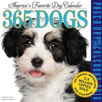 portada 365 Dogs 