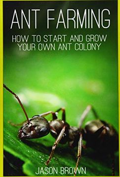 portada Ant Farming: How to Start and Grow Your own ant Colony 