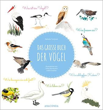 portada Das Große Buch der Vögel: Für Kinder ab 7 Jahren. Was ist ein Vogel? Was Fressen Sie? Wie Schlüpfen Küken? Wo Leben Sie? Wie Bewegen sie Sich Fort? (in German)