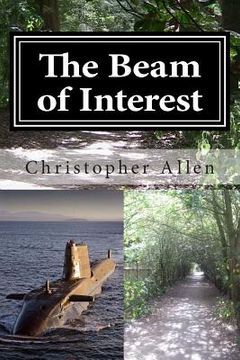 portada The Beam of Interest: Taken by Storm (en Inglés)
