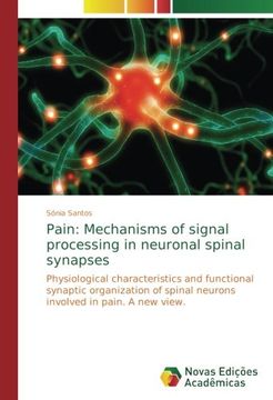 portada Pain: Mechanisms of signal processing in neuronal spinal synapses: Physiological characteristics and functional synaptic organization of spinal neurons involved in pain. A new view