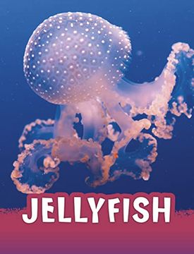 portada Jellyfish (Animals) (en Inglés)