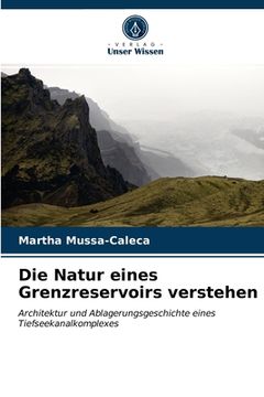 portada Die Natur eines Grenzreservoirs verstehen (en Alemán)
