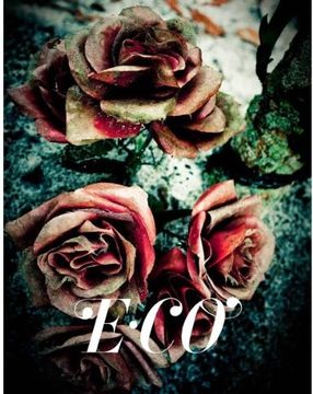 portada Eco (en Inglés)