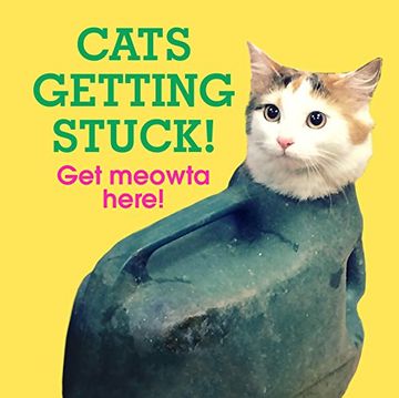 portada Cats Getting Stuck! 