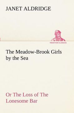portada the meadow-brook girls by the sea or the loss of the lonesome bar (in English)