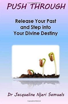 portada Push Through: Release Your Past and Step Into Your Divine Destiny (en Inglés)