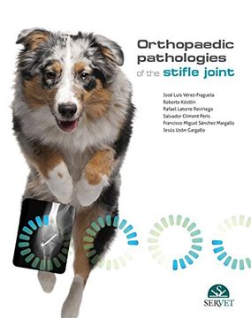 portada Orthopaedic pathologies of the stifle joint