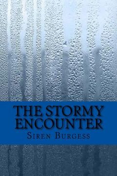 portada The Stormy Encounter (en Inglés)