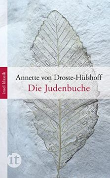 portada Die Judenbuche: Ein Sittengemälde aus dem Gebirgichten Westfalen (Insel Taschenbuch) (in German)