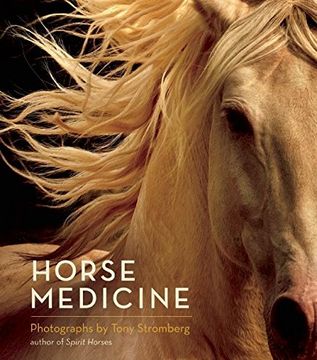 portada Horse Medicine