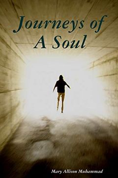 portada Journeys of a Soul