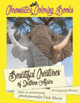 portada Beautiful Creatures of Southern Africa: An Adult Coloring Book featuring the most beautiful creatures that reside in Southern Africa