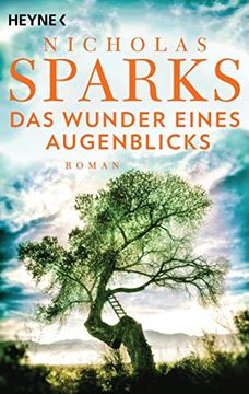 portada Das Wunder Eines Augenblicks: Roman (in German)