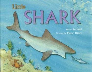 portada Little Shark (in English)