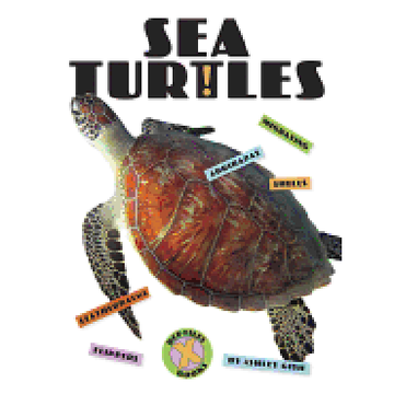 portada Sea Turtles (X-Books: Reptiles) (en Inglés)