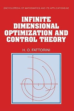 portada Infinite Dimensional Optimization and Control Theory Hardback (Encyclopedia of Mathematics and its Applications) (in English)