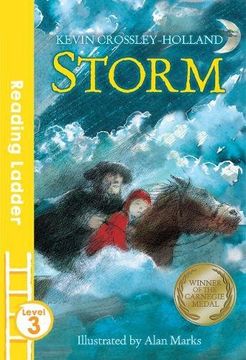 portada Storm (Reading Ladder Level 3)