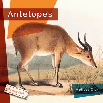 portada Antelopes (in English)