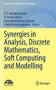 portada Synergies in Analysis, Discrete Mathematics, Soft Computing and Modelling (en Inglés)