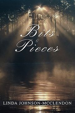 portada bits & pieces (en Inglés)