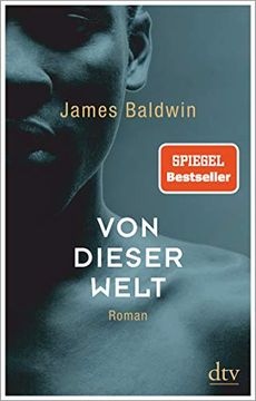 portada Von Dieser Welt: Roman (in German)