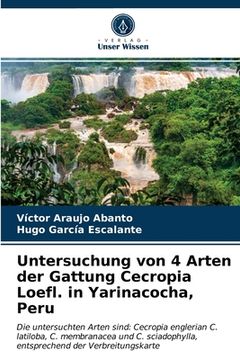 portada Untersuchung von 4 Arten der Gattung Cecropia Loefl. in Yarinacocha, Peru