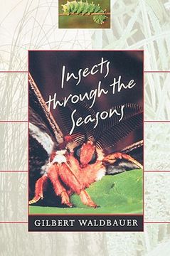 portada insects through the seasons (en Inglés)