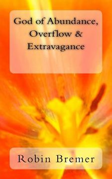 portada God of Abundance, Overflow & Extravagance (en Inglés)