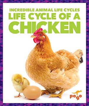 portada Life Cycle of a Chicken (Pogo Books: Incredible Animal Life Cycles) 