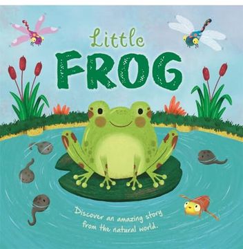 portada Little Frog
