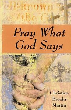 portada pray what god says (en Inglés)