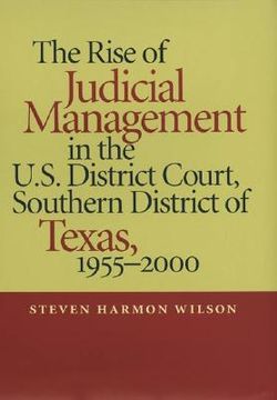 portada rise of judicial management in the u.s. district court, southern district of texas, 1955-2000 (in English)