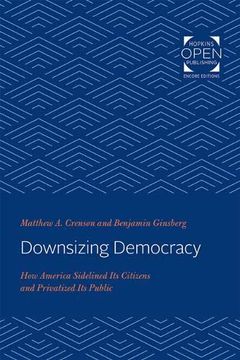 portada Downsizing Democracy: How America Sidelined its Citizens and Privatized its Public (en Inglés)