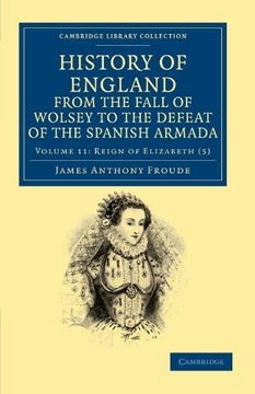 portada History of England From the Fall of Wolsey to the Death of Elizabeth 12 Volume Set: History of England From the Fall of Wolsey to the Defeat of the. And Irish History, 15Th & 16Th Centuries) (en Inglés)
