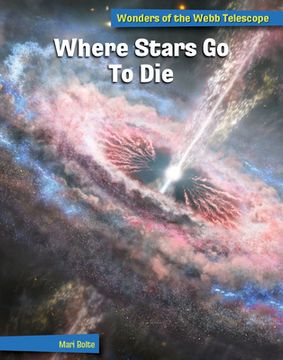 portada Where Stars Go to Die (en Inglés)