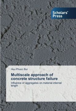 portada Multiscale Approach of Concrete Structure Failure