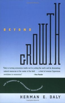 portada Beyond Growth: The Economics of Sustainable Development (en Inglés)