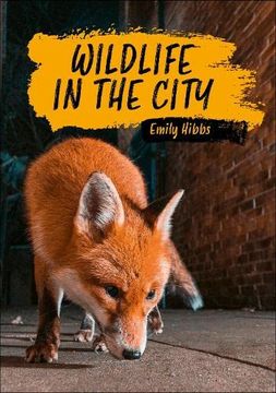 portada Reading Planet Ks2: Wildlife in the City - Earth