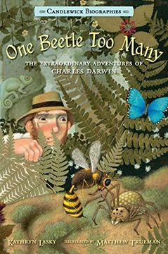 portada One Beetle too Many: Candlewick Biographies: The Extraordinary Adventures of Charles Darwin (in English)