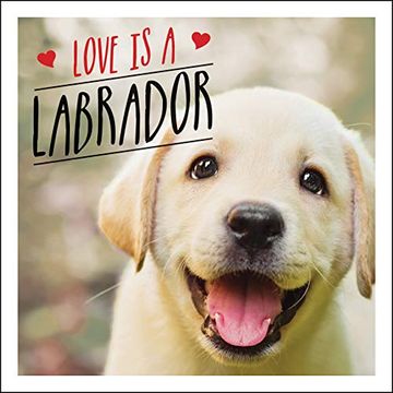 portada Love is a Labrador: A Lab-Tastic Celebration of the World's Favourite dog 